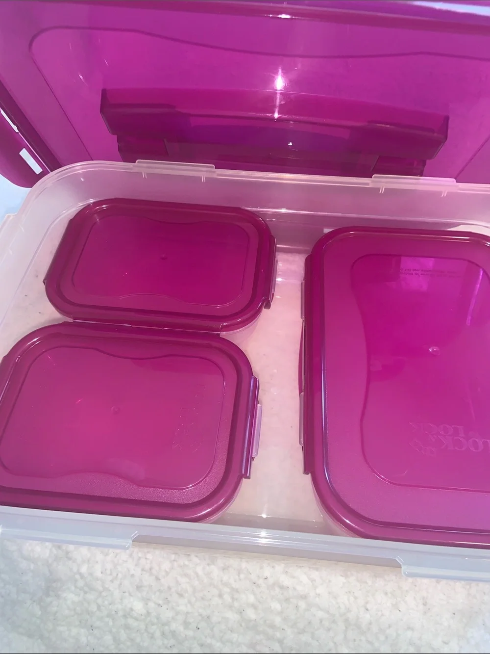 Stackable Pink Plastic Storage Box with Carry Handle 8pc with lids